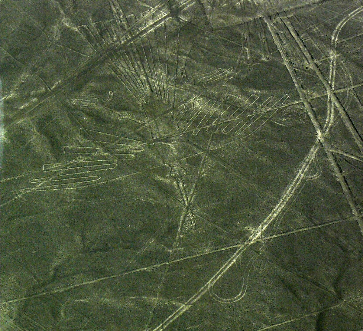 Nasca Lines28 - Condor
